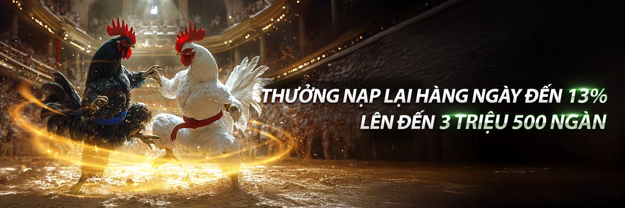 Hình nền đá gà sôi động
